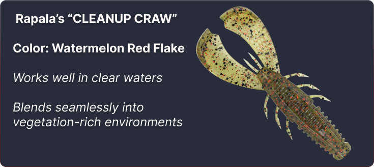 Watermelon Red color Rapala CrushCity Customs Cleanup Craw